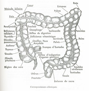 Numériser 2 hydrotherapie du colon avignon